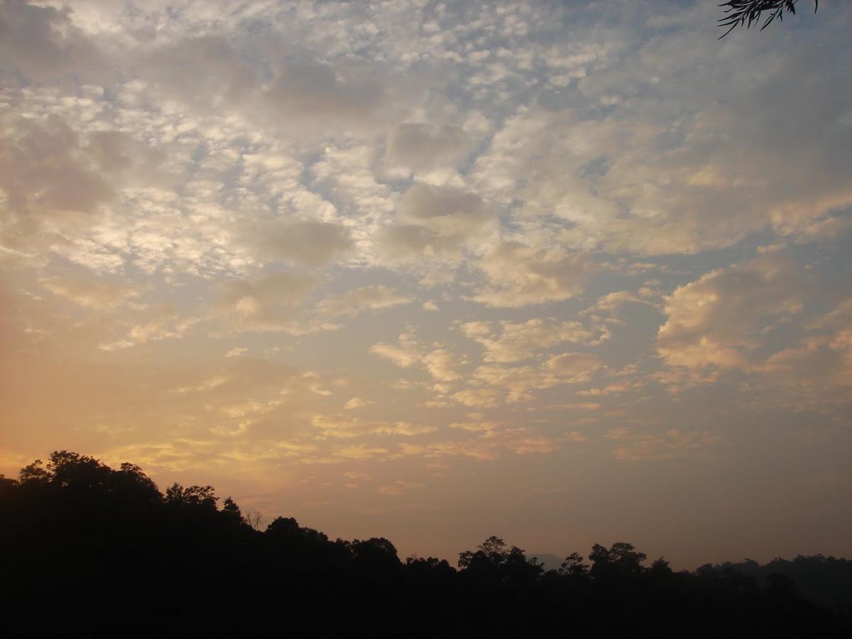 Wild Elephant Eco Friendly Resort Munnar Exteriör bild