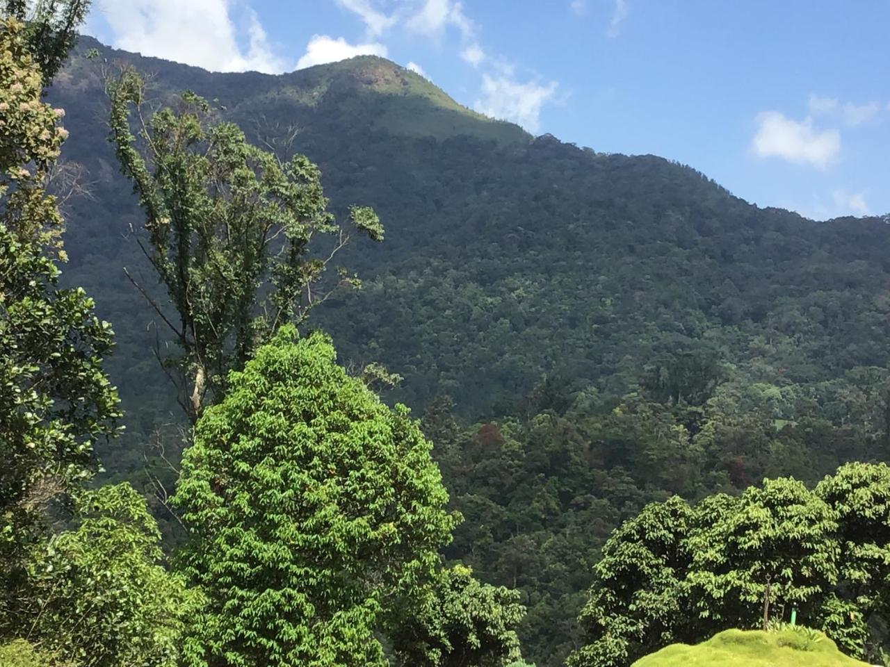 Wild Elephant Eco Friendly Resort Munnar Exteriör bild