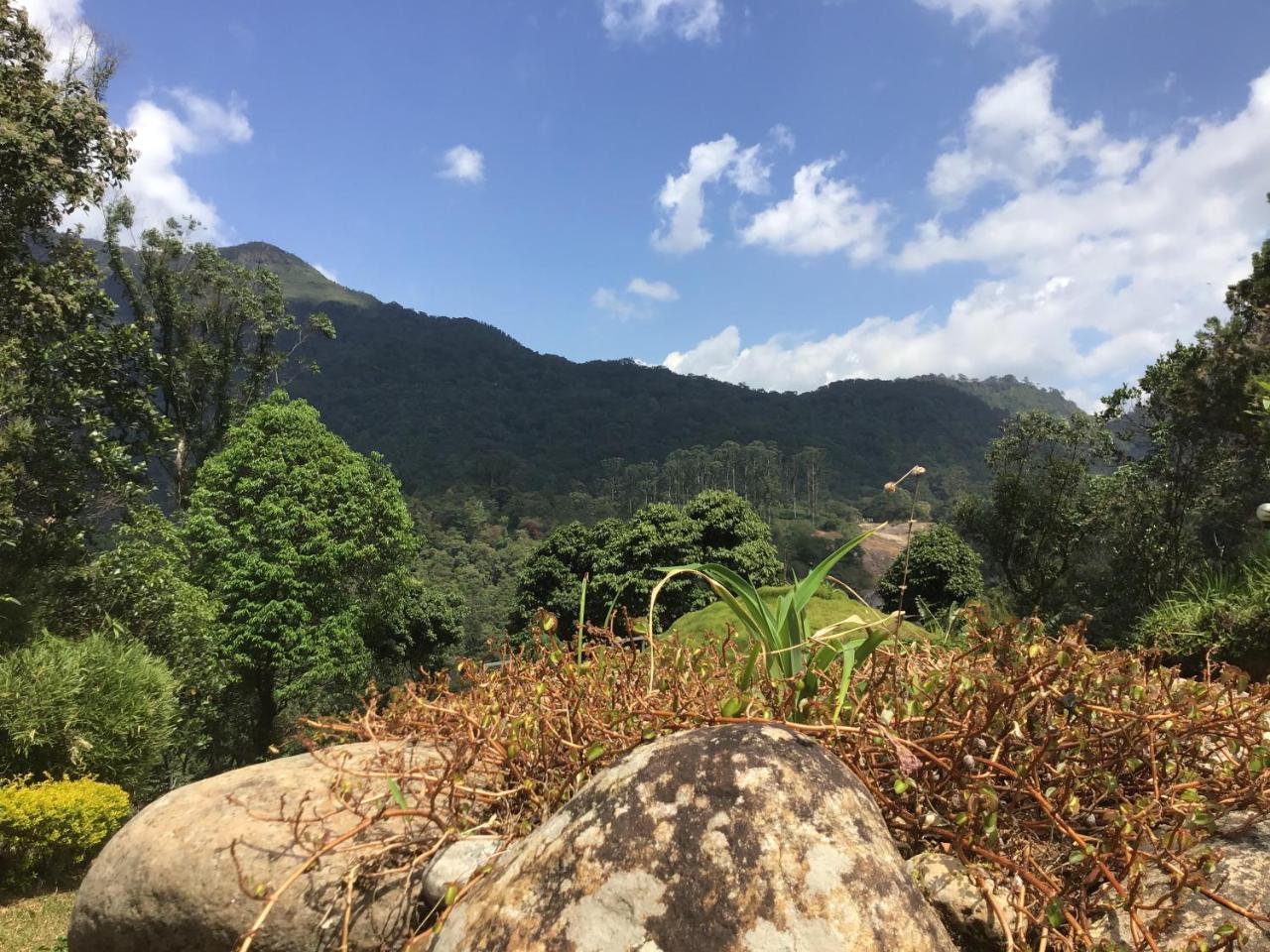 Wild Elephant Eco Friendly Resort Munnar Exteriör bild