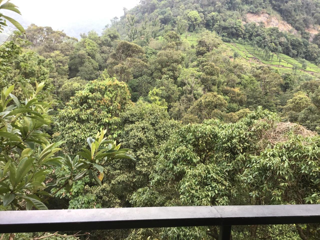 Wild Elephant Eco Friendly Resort Munnar Exteriör bild