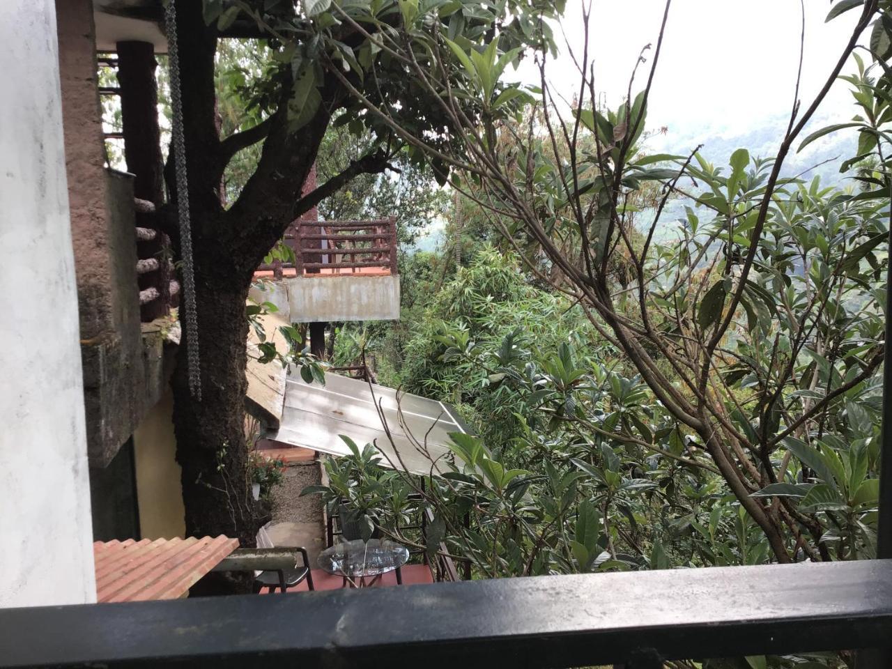 Wild Elephant Eco Friendly Resort Munnar Exteriör bild